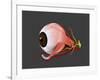 Conceptual Image of Human Eye Anatomy-null-Framed Art Print