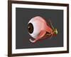 Conceptual Image of Human Eye Anatomy-null-Framed Art Print