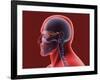 Conceptual Image of Human Eye and Skull-null-Framed Art Print