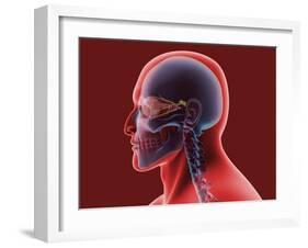 Conceptual Image of Human Eye and Skull-null-Framed Art Print