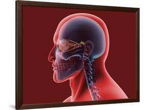Conceptual Image of Human Eye and Skull-null-Framed Art Print