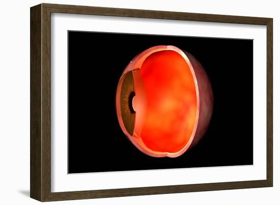 Conceptual Image of Human Eye Cross Section-null-Framed Art Print