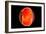 Conceptual Image of Human Eye Cross Section-null-Framed Art Print