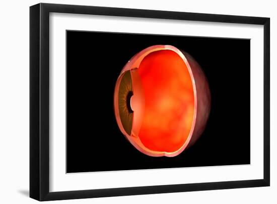 Conceptual Image of Human Eye Cross Section-null-Framed Art Print