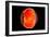 Conceptual Image of Human Eye Cross Section-null-Framed Art Print