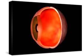 Conceptual Image of Human Eye Cross Section-null-Stretched Canvas