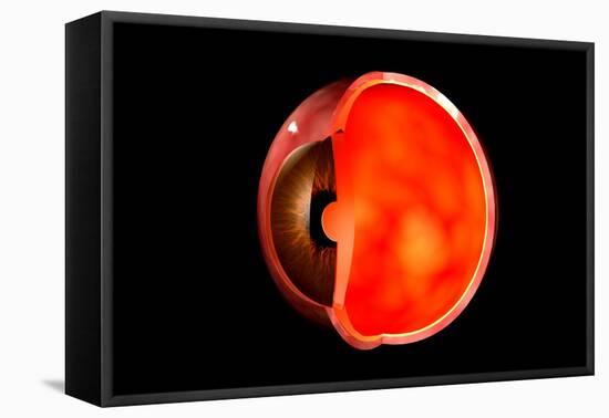 Conceptual Image of Human Eye Cross Section-null-Framed Stretched Canvas