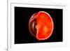 Conceptual Image of Human Eye Cross Section-null-Framed Art Print