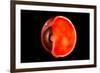 Conceptual Image of Human Eye Cross Section-null-Framed Art Print