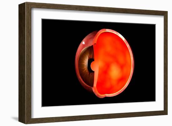 Conceptual Image of Human Eye Cross Section-null-Framed Art Print