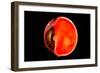 Conceptual Image of Human Eye Cross Section-null-Framed Art Print