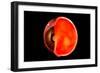 Conceptual Image of Human Eye Cross Section-null-Framed Art Print