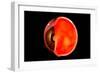 Conceptual Image of Human Eye Cross Section-null-Framed Art Print