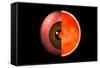 Conceptual Image of Human Eye Cross Section-null-Framed Stretched Canvas