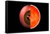 Conceptual Image of Human Eye Cross Section-null-Framed Stretched Canvas