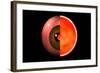 Conceptual Image of Human Eye Cross Section-null-Framed Art Print