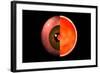 Conceptual Image of Human Eye Cross Section-null-Framed Art Print