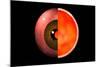 Conceptual Image of Human Eye Cross Section-null-Mounted Art Print