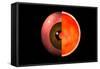 Conceptual Image of Human Eye Cross Section-null-Framed Stretched Canvas