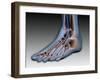 Conceptual Image of Human Foot with Nervous System-null-Framed Art Print