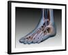 Conceptual Image of Human Foot with Nervous System-null-Framed Art Print