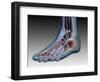 Conceptual Image of Human Foot with Nervous System-null-Framed Art Print