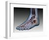 Conceptual Image of Human Foot with Nervous System-null-Framed Art Print