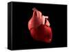 Conceptual Image of Human Heart-null-Framed Stretched Canvas