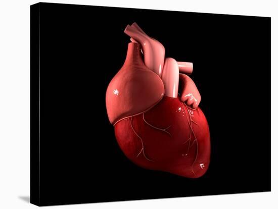 Conceptual Image of Human Heart-null-Stretched Canvas