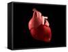 Conceptual Image of Human Heart-null-Framed Stretched Canvas