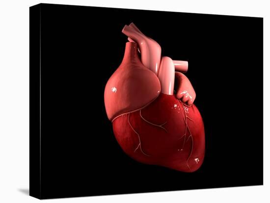 Conceptual Image of Human Heart-null-Stretched Canvas