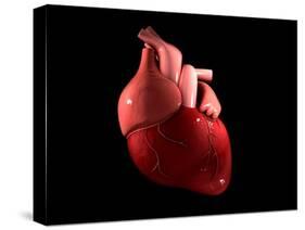 Conceptual Image of Human Heart-null-Stretched Canvas