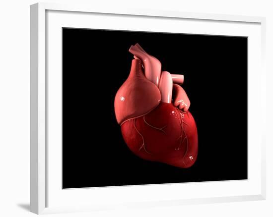 Conceptual Image of Human Heart-null-Framed Art Print