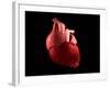 Conceptual Image of Human Heart-null-Framed Art Print