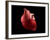 Conceptual Image of Human Heart-null-Framed Art Print