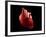 Conceptual Image of Human Heart-null-Framed Art Print