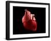 Conceptual Image of Human Heart-null-Framed Art Print