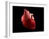 Conceptual Image of Human Heart-null-Framed Art Print