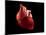 Conceptual Image of Human Heart-null-Mounted Art Print