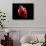 Conceptual Image of Human Heart-null-Art Print displayed on a wall