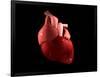 Conceptual Image of Human Heart-null-Framed Art Print