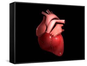 Conceptual Image of Human Heart-null-Framed Stretched Canvas