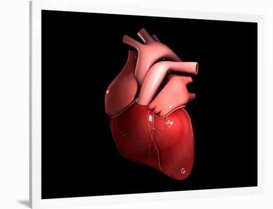 Conceptual Image of Human Heart-null-Framed Art Print