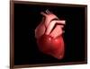 Conceptual Image of Human Heart-null-Framed Art Print