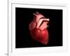 Conceptual Image of Human Heart-null-Framed Art Print