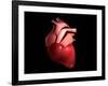 Conceptual Image of Human Heart-null-Framed Art Print