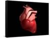 Conceptual Image of Human Heart-null-Framed Stretched Canvas