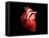 Conceptual Image of Human Heart-null-Framed Stretched Canvas