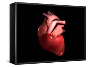 Conceptual Image of Human Heart-null-Framed Stretched Canvas