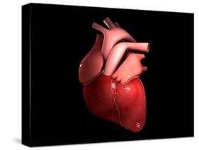 Conceptual Image of Human Heart-null-Stretched Canvas